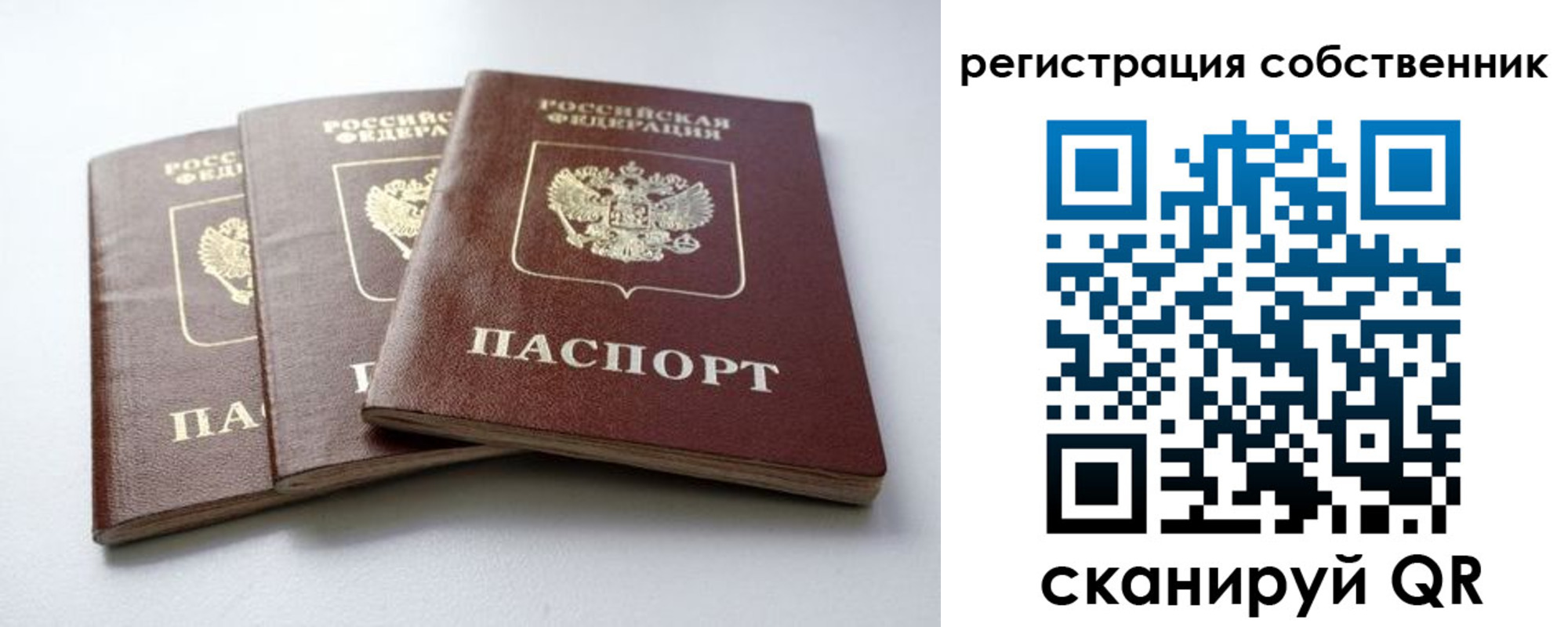 прописка для школы в Цимлянске